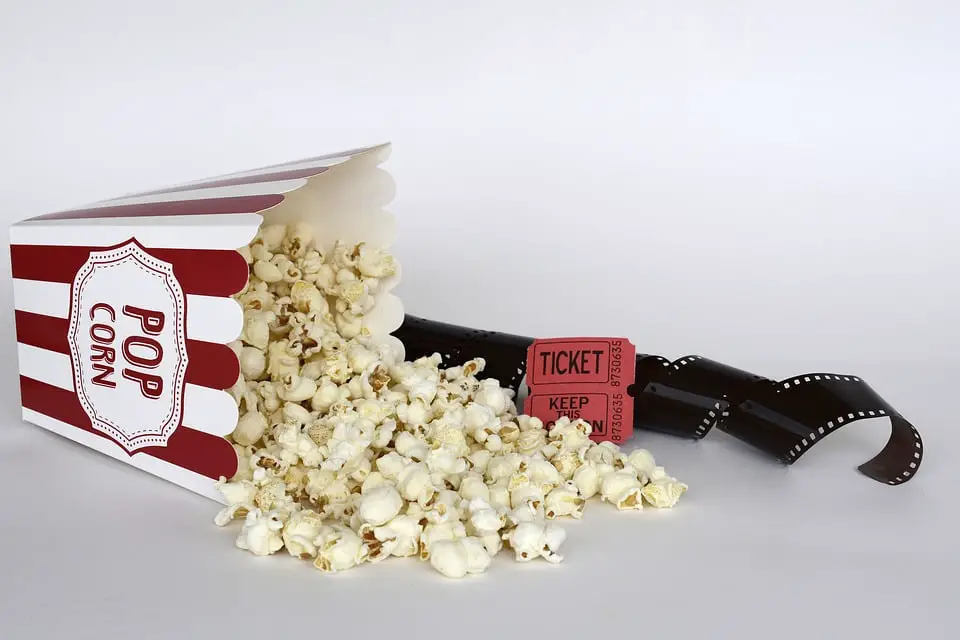 Confirmation de la demande dans l'affaire Popcorn Time 4 Confirmation de la demande dans l'affaire Popcorn Time - 3