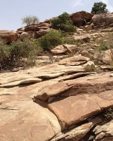 Un Norvégien détenu dans une action contre une école au Somaliland 29 Un Norvégien détenu dans une action contre une école au Somaliland - 28