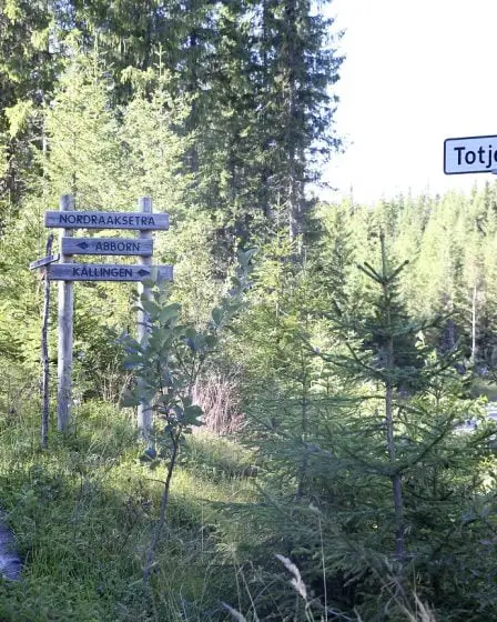 Croit que le meurtre à Søndre Land était prémédité - 19