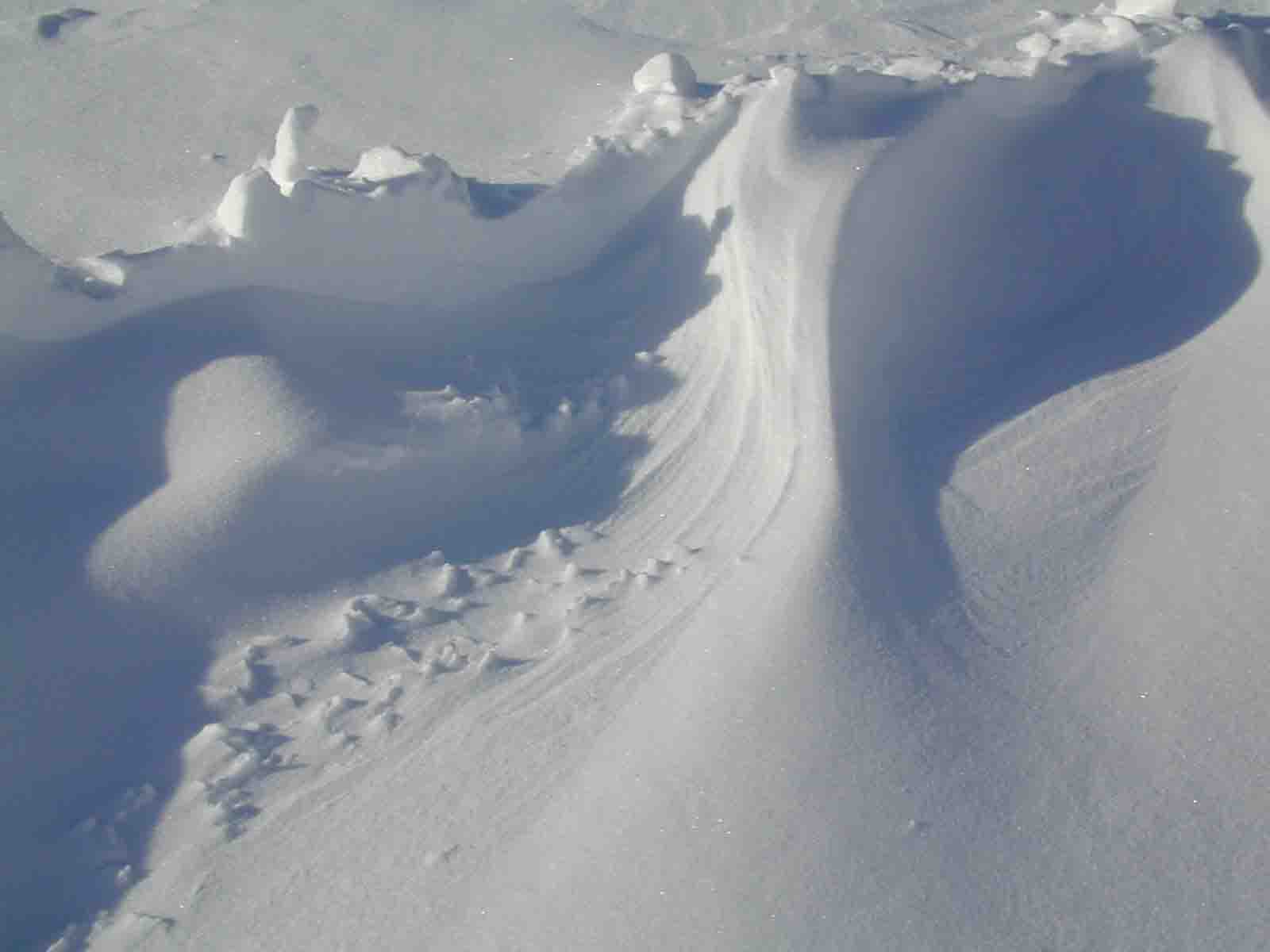 Les touristes italiens extrêmement chanceux dans l'avalanche 4 Les touristes italiens extrêmement chanceux dans l'avalanche - 3