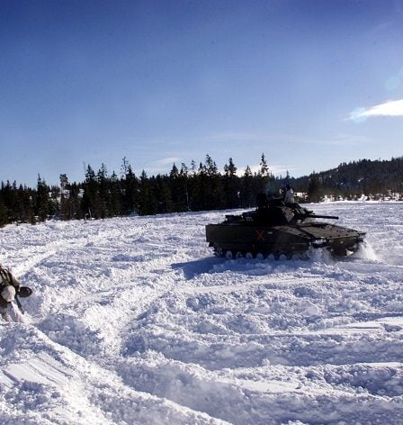 Un soldat est mort dans un accident de char en Suède 8 Un soldat est mort dans un accident de char en Suède - 7
