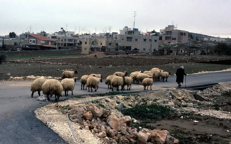 Le gouvernement demande aux Norvégiens d'arrêter de faire des cadeaux à la Cisjordanie israélienne 4 Le gouvernement demande aux Norvégiens d'arrêter de faire des cadeaux à la Cisjordanie israélienne - 3