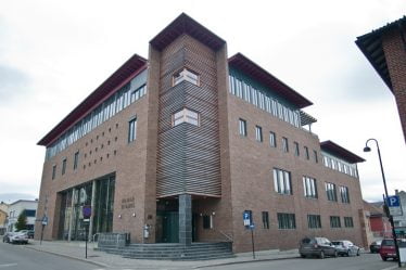 Un homme de Hedmark condamné à la prison pour avoir tué un chaton - 6