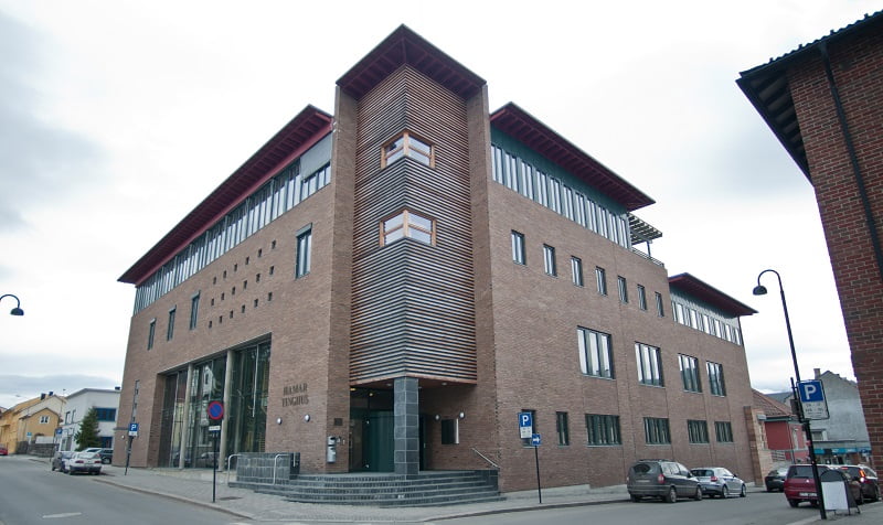 Un homme de Hedmark condamné à la prison pour avoir tué un chaton 4 Un homme de Hedmark condamné à la prison pour avoir tué un chaton - 3