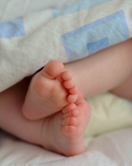 700 enfants nés dans les centres d'asile norvégiens depuis 2015 29 700 enfants nés dans les centres d'asile norvégiens depuis 2015 - 28