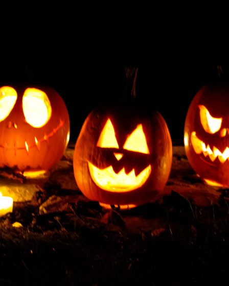 Un aperçu d'Halloween en Norvège : comment, quoi et pourquoi ? 27 Un aperçu d'Halloween en Norvège : comment, quoi et pourquoi ? - 26
