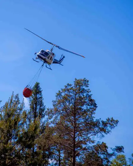 Les gens doivent être prudents avant de déclencher des incendies de forêt 11 Les gens doivent être prudents avant de déclencher des incendies de forêt - 10