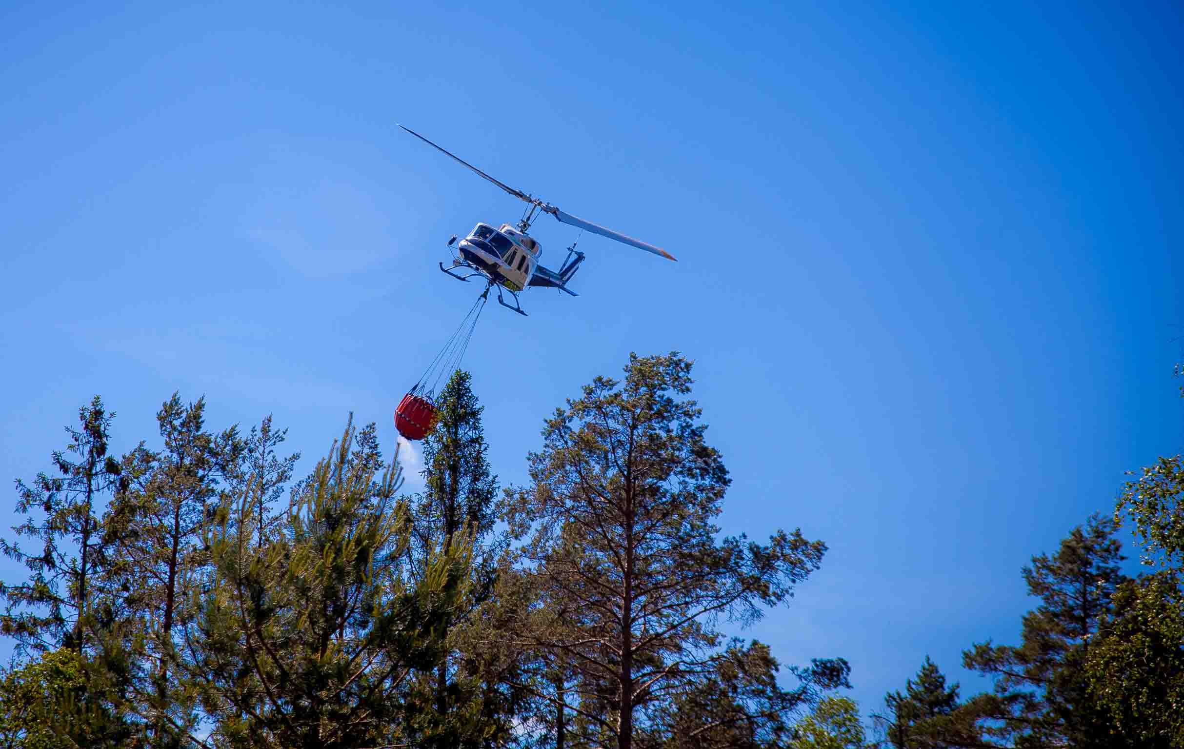 Les gens doivent être prudents avant de déclencher des incendies de forêt 4 Les gens doivent être prudents avant de déclencher des incendies de forêt - 3