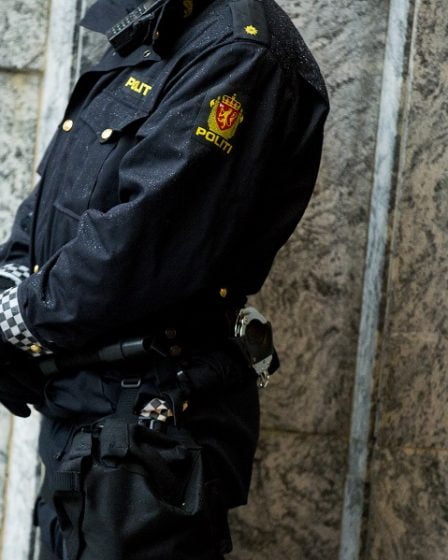 La police interdit aux nazis de manifester à Fredrikstad 8 La police interdit aux nazis de manifester à Fredrikstad - 7