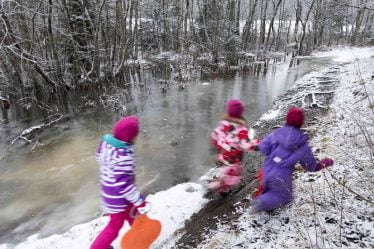 Des enfants de la maternelle ont trouvé deux kilogrammes d'amphétamine dans les bois - 18