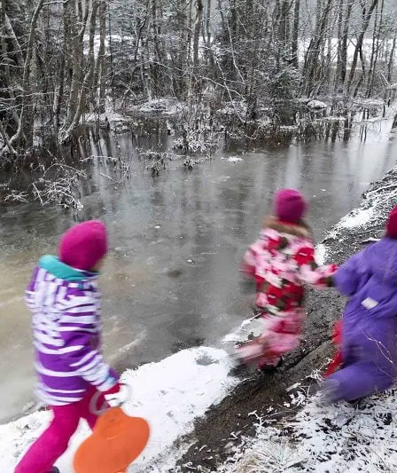 Des enfants de la maternelle ont trouvé deux kilogrammes d'amphétamine dans les bois 14 Des enfants de la maternelle ont trouvé deux kilogrammes d'amphétamine dans les bois - 13