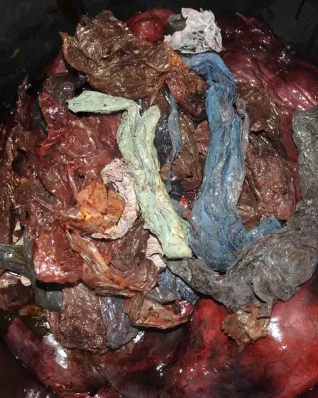 30 kg de déchets plastiques par personne 17 30 kg de déchets plastiques par personne - 16
