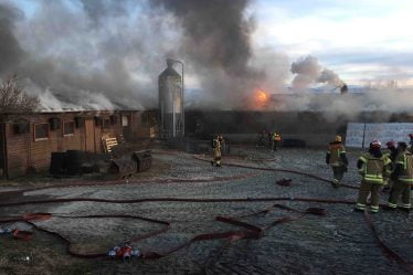Plus de 500 porcs sont morts dans un incendie dans le Nordland - 16