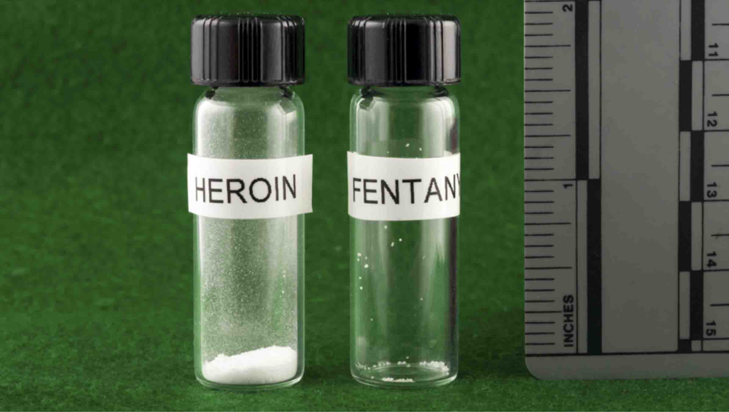 Un jeune de 15 ans a été retrouvé mort dans sa chambre - avait pris des drogues synthétiques 10 000 fois plus fortes que la morphine 4 Un jeune de 15 ans a été retrouvé mort dans sa chambre - avait pris des drogues synthétiques 10 000 fois plus fortes que la morphine - 3