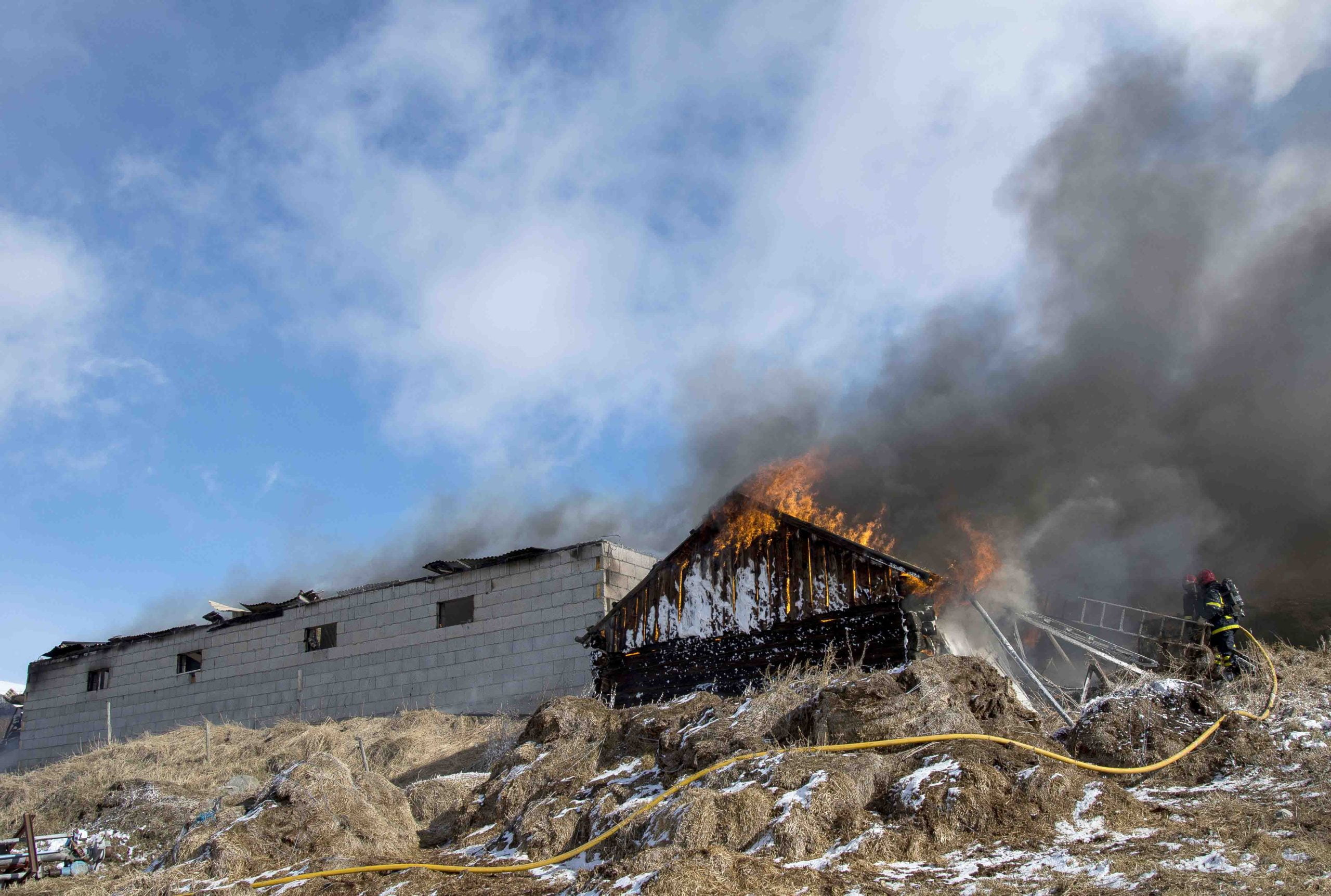 Plus de 40 vaches sont mortes dans l'incendie d'une étable à Lesja - 3