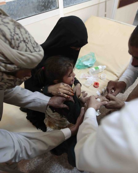 La Norvège intensifie son aide humanitaire au Yémen 5 La Norvège intensifie son aide humanitaire au Yémen - 4