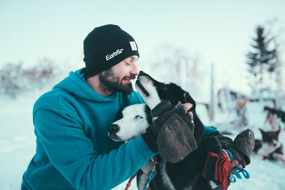 Magnifique balade en traîneau avec des Huskies à Tromso 10 Magnifique balade en traîneau avec des Huskies à Tromso - 9