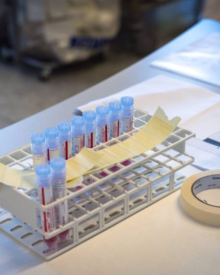 Presque tous les échantillons séquencés à l'hôpital universitaire d'Oslo indiquent la variante omicron, de sorte que le séquençage s'arrête - 19