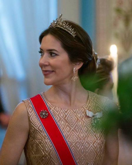 La princesse héritière Mary du Danemark testée positive au corona - 16
