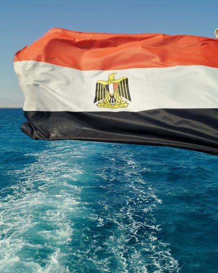 L'Egypte durcit les sanctions contre les MGF 25 L'Egypte durcit les sanctions contre les MGF - 24