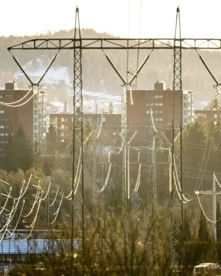 Le Parti de la gauche socialiste veut que les Norvégiens les plus riches paient plus d'impôts pour aider à financer les mesures de soutien à l'électricité - 10