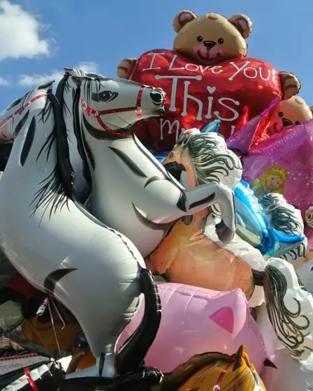 Les ballons seront interdits le 17 mai 24 Les ballons seront interdits le 17 mai - 23