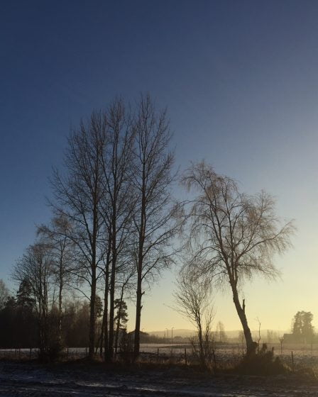 La Norvège orientale bénéficie du meilleur temps pendant les vacances d'hiver 11 La Norvège orientale bénéficie du meilleur temps pendant les vacances d'hiver - 10