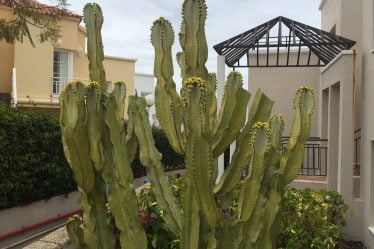 Des touristes norvégiens touchés par le virus de l'estomac à Gran Canaria - 16