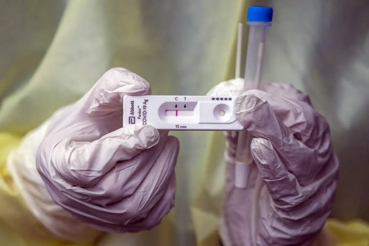 1,6 million de tests corona rapides ont été envoyés aux municipalités norvégiennes 4 1,6 million de tests corona rapides ont été envoyés aux municipalités norvégiennes - 3