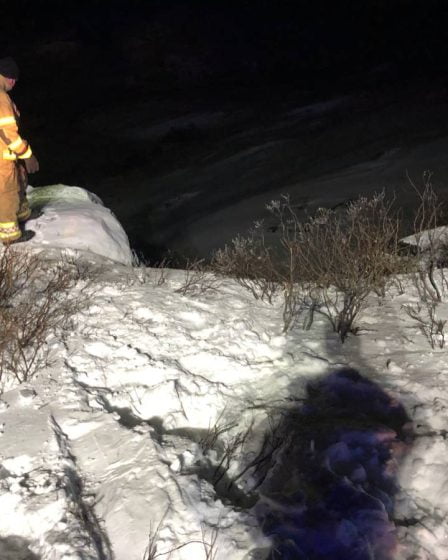 Plateau de Hardangervidda: les deux personnes qui ont descendu une falaise ont été arrêtées après que la police a trouvé des stupéfiants dans leur voiture - 4