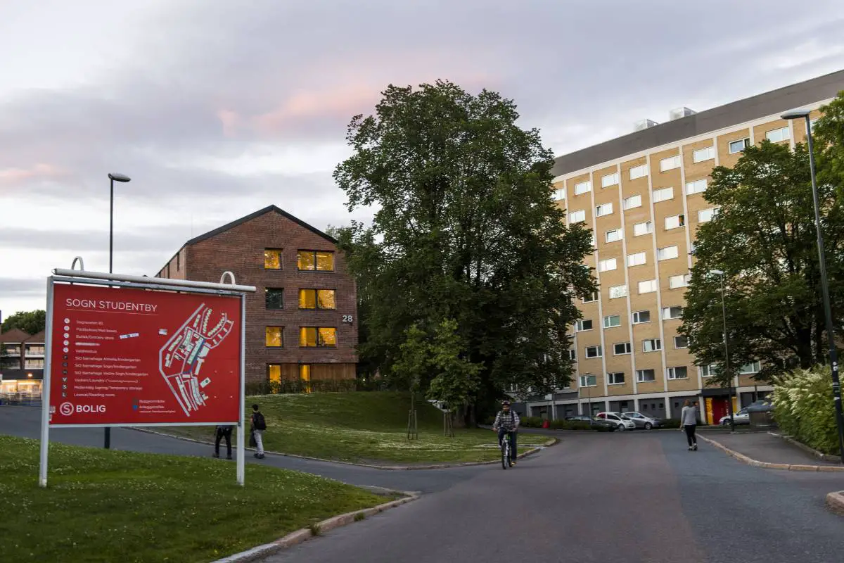 Plus de 16 000 logements étudiants ont été attribués à des étudiants en Norvège durant l'été - 3