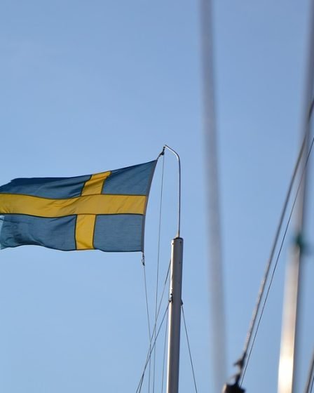La télévision suédoise de service public (SVT) annonce que la Suède va réintroduire la conscription - 10