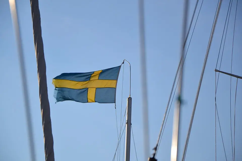 La télévision suédoise de service public (SVT) annonce que la Suède va réintroduire la conscription - 3