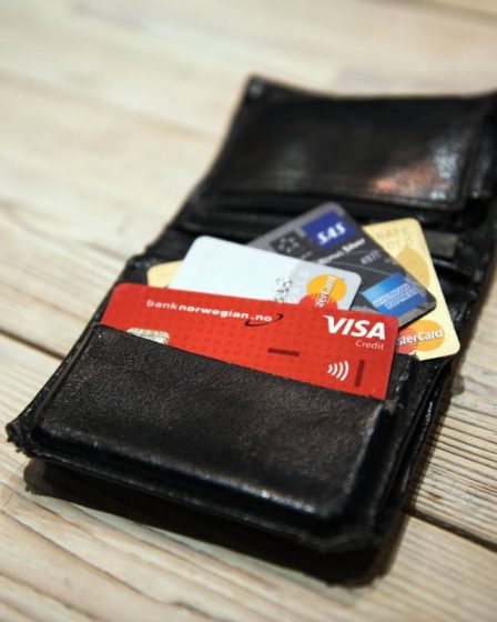 Un Norvégien sur quatre ne possède pas de carte de crédit - 4