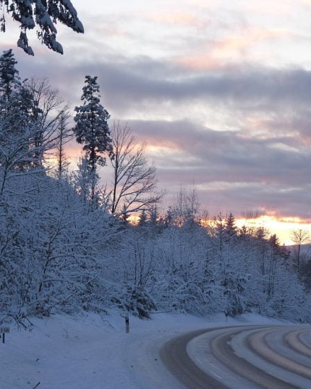 Possibilité de 50 cm de neige ce week-end 23 Possibilité de 50 cm de neige ce week-end - 22
