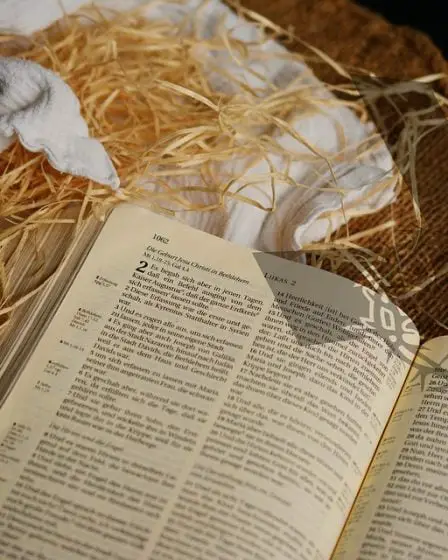 Un sur quatre lit le conte de Noël à la maison à Noël 14 Un sur quatre lit le conte de Noël à la maison à Noël - 13
