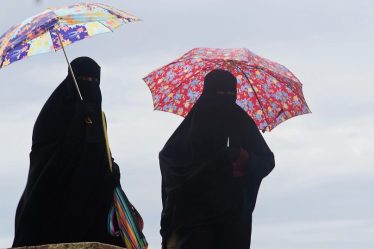 L'interdiction de la burqa approuvée par le Congrès aux Pays-Bas - 20