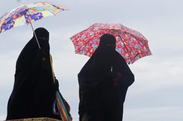 L'interdiction de la burqa approuvée par le Congrès aux Pays-Bas - 23