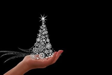 Le cadeau annuel de l'arbre de Noël de la Norvège à l'Angleterre moqué en ligne - 16
