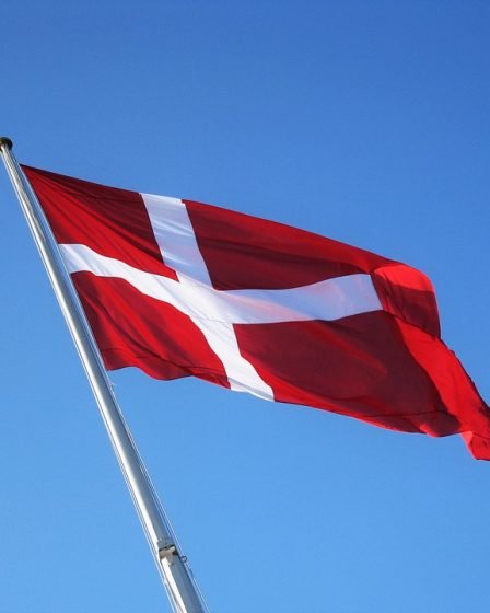 Un policier a tiré dans la tête au Danemark 17 Un policier a tiré dans la tête au Danemark - 16