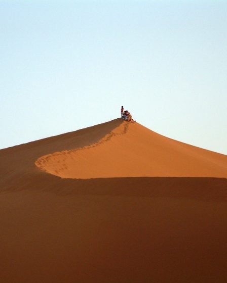 Deux militants norvégiens expulsés du Maroc lors d'une visite au Sahara occidental 5 Deux militants norvégiens expulsés du Maroc lors d'une visite au Sahara occidental - 4