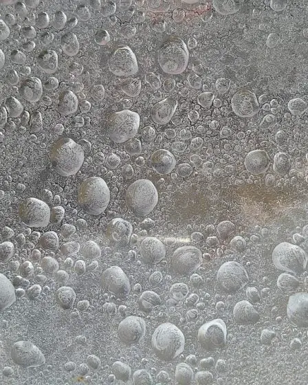 Fille cryogéniquement congelée malgré le refus de son père 11 Fille cryogéniquement congelée malgré le refus de son père - 10