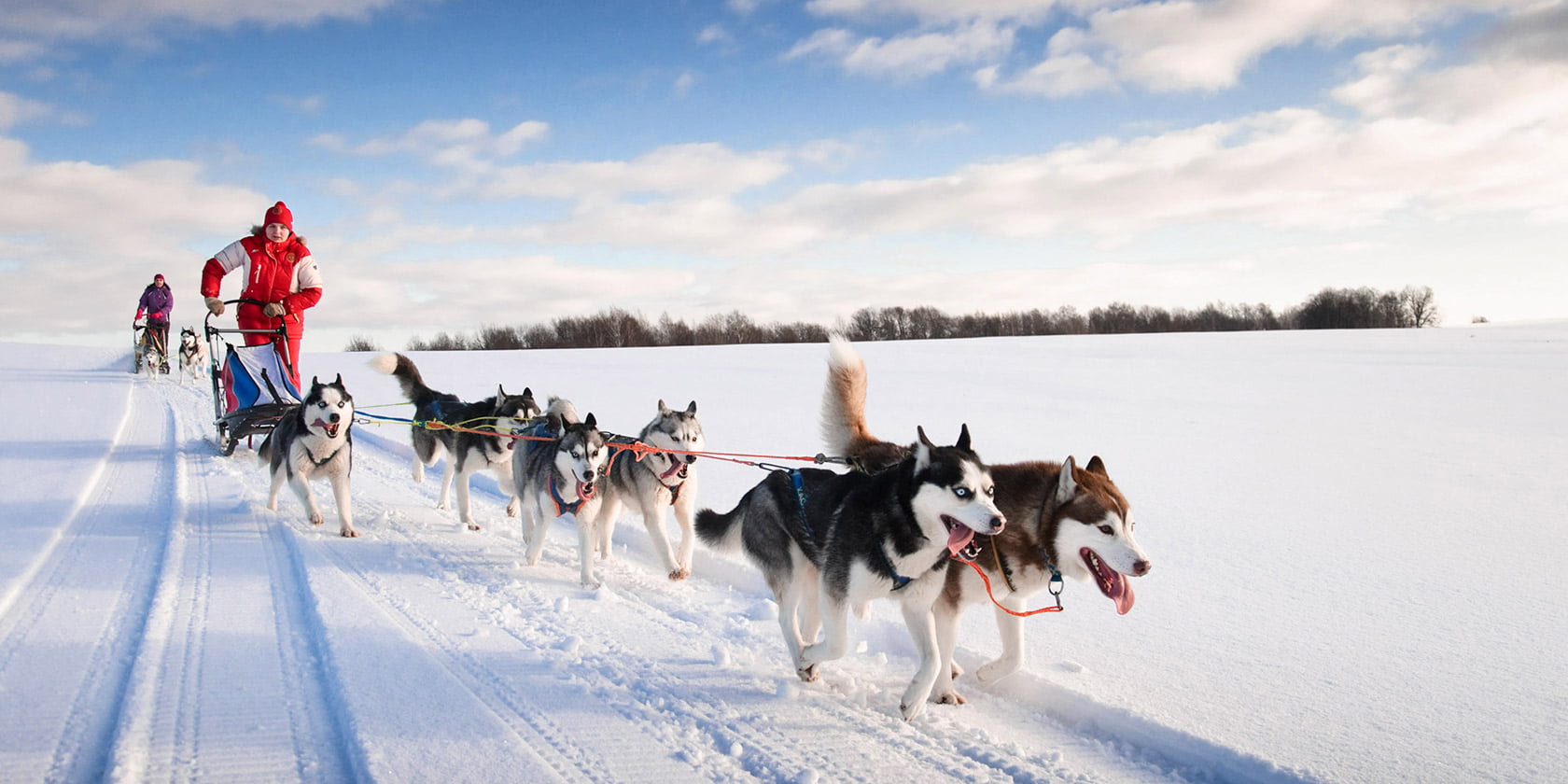 Magnifique balade en traîneau avec des Huskies à Tromso 4 Magnifique balade en traîneau avec des Huskies à Tromso - 3