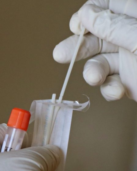 FHI : 268 nouveaux cas d'omicron ont été confirmés en Norvège au cours des dernières 24 heures 17 FHI : 268 nouveaux cas d'omicron ont été confirmés en Norvège au cours des dernières 24 heures - 16