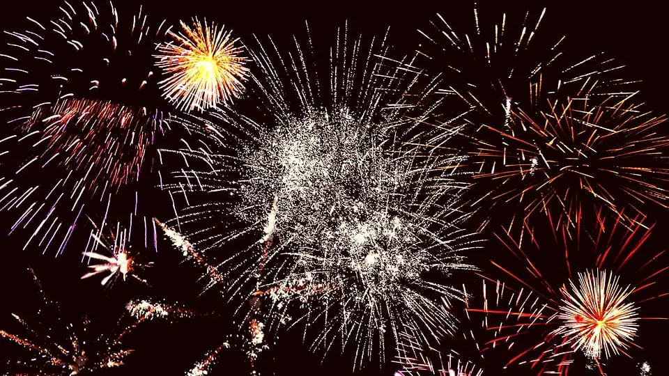 Préparez vos animaux de compagnie pour les fêtes de fin d'année 4 Préparez vos animaux de compagnie pour les fêtes de fin d'année - 3