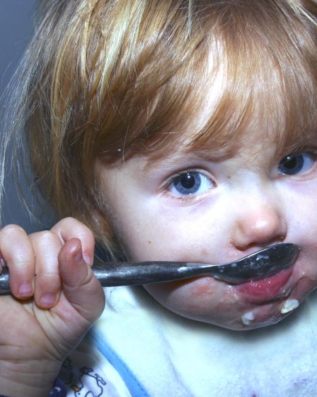 Listeria trouvée dans les céréales pour bébés biologiques 24 Listeria trouvée dans les céréales pour bébés biologiques - 23
