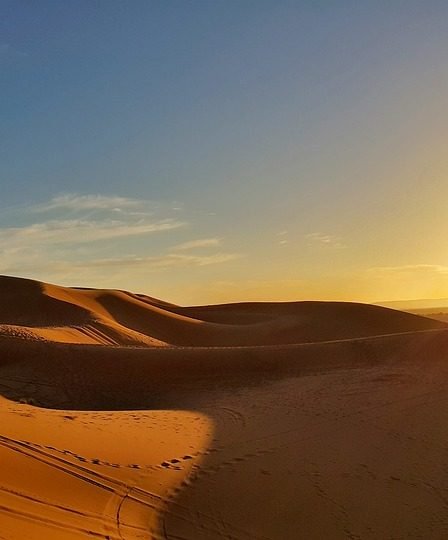 Des millions de dollars pour le projet Sahara Forest 8 Des millions de dollars pour le projet Sahara Forest - 7