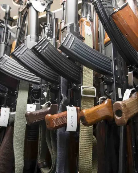 Les armes à feu illégales peuvent être remises de manière anonyme 5 Les armes à feu illégales peuvent être remises de manière anonyme - 4