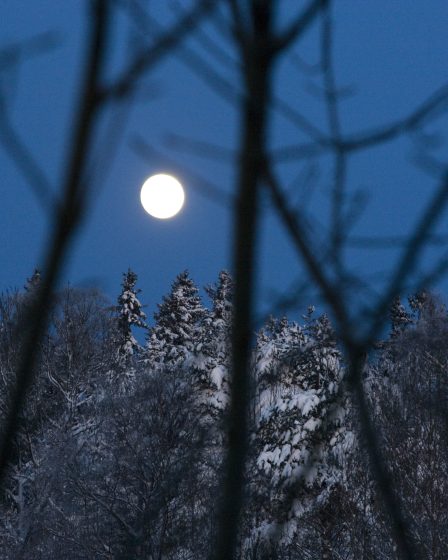 Super Lune à la mi-novembre - La Norvège aujourd'hui 2 Super Lune à la mi-novembre - La Norvège aujourd'hui - 1