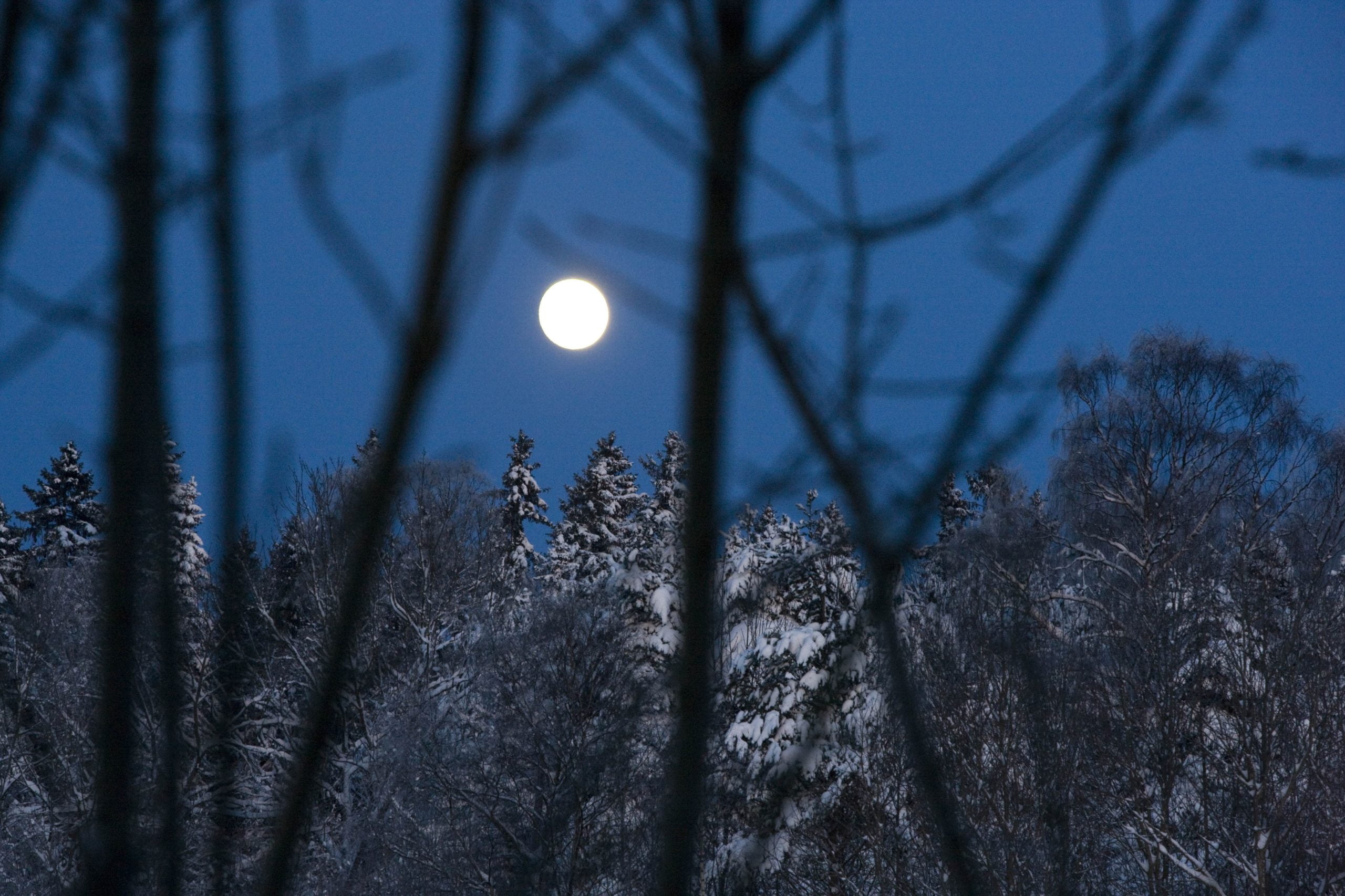 Super Lune à la mi-novembre - La Norvège aujourd'hui 4 Super Lune à la mi-novembre - La Norvège aujourd'hui - 3